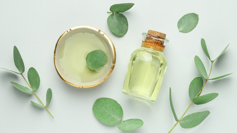 bottle of oil and eucalyptus leaves surrounding it