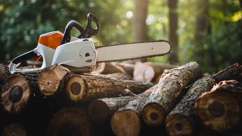 fresh cut firewood