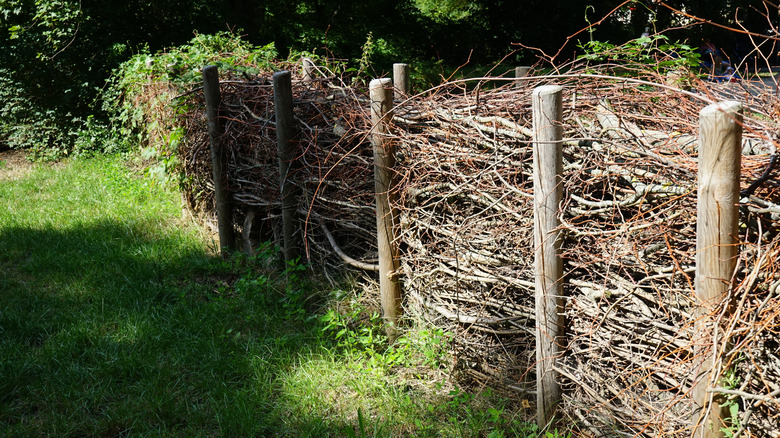 A dead hedge fence in a yard