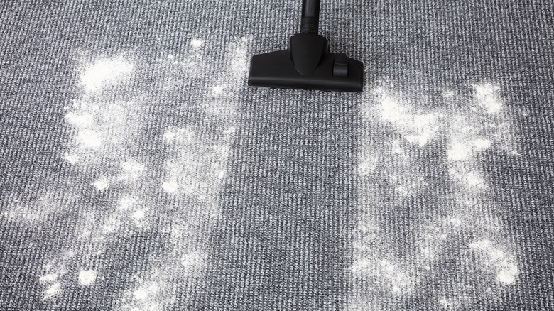 Vacuum cleaning white powder sprinkled on carpet
