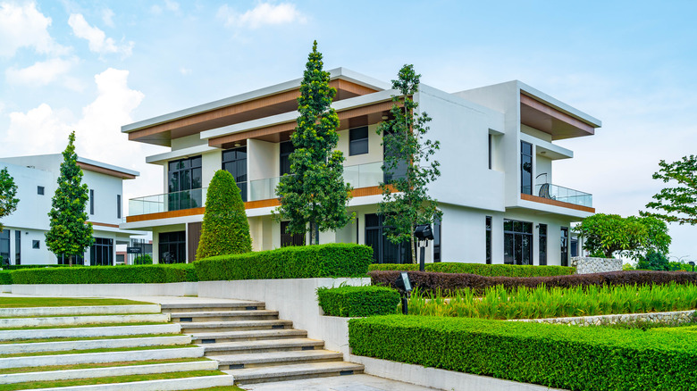 Modern white house with wood accents and various shaped shrubs