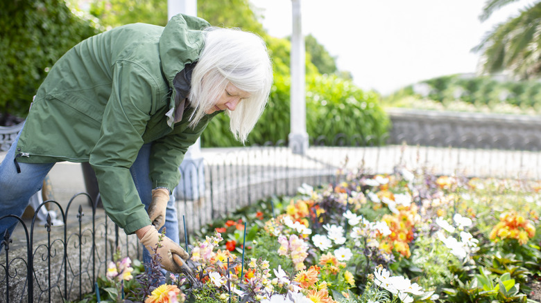 Woman tending to flower garden
