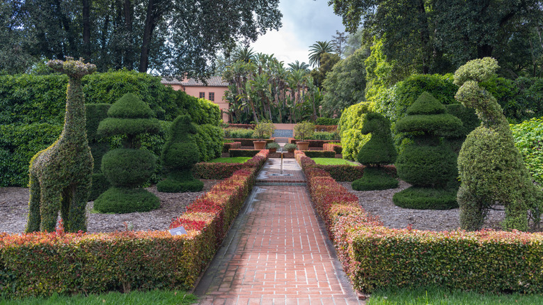 A topiary sculpture garden at Lotusland in Montecito, CA