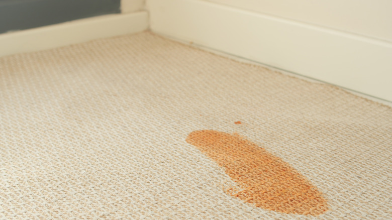 Close-up of a stain on a beige carpet