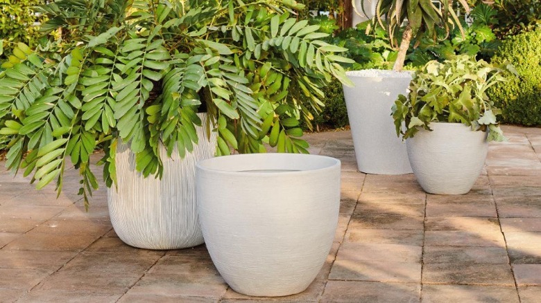 Four white cement planter on garden patio