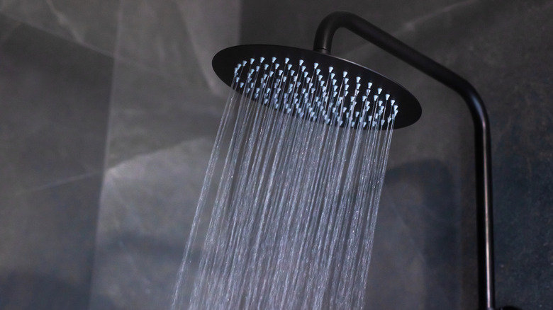 Close up of a black shower head