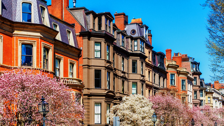 Row of older brick houses with various window styles