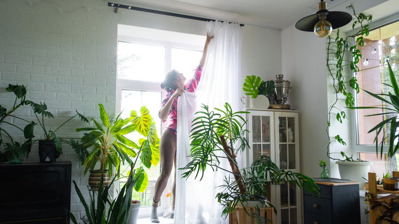 Woman hanging up sheer curtain.