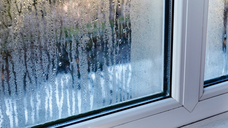 Condensation inside window 