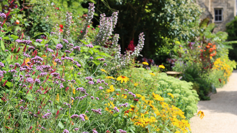 A colorful flower border in summer