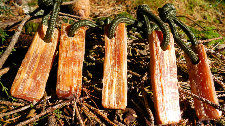 Fatwood carried for fire-starting