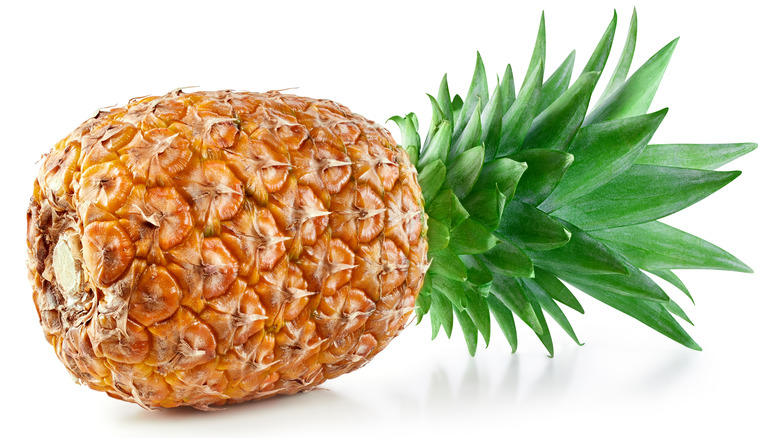 pineapple 