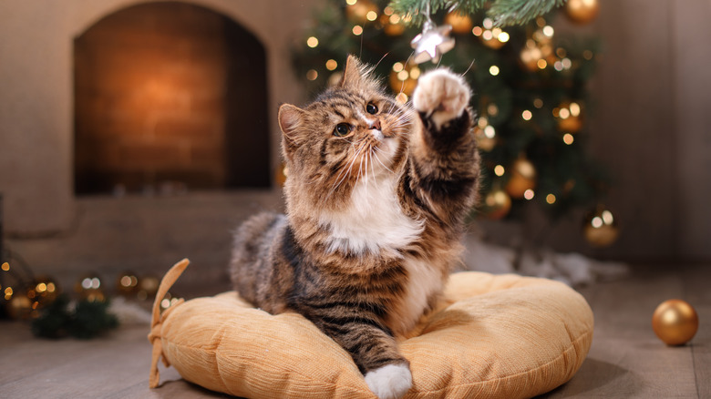 Kitty batting Christmas ornament