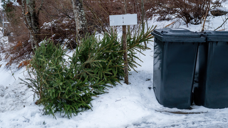 A Christmas tree laying next to garbage bins on the side of the road.