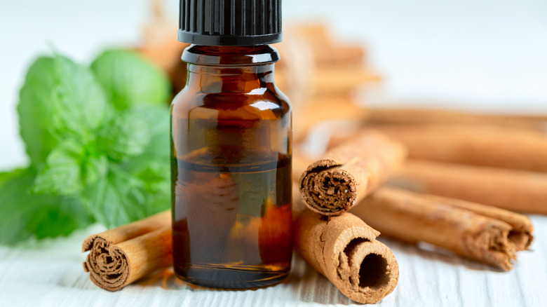 bottle of cinnamon essential oil