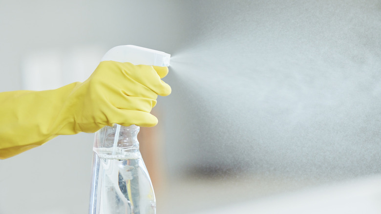 A person wearing a yellow glove squirts clear liquid out of a spray bottle