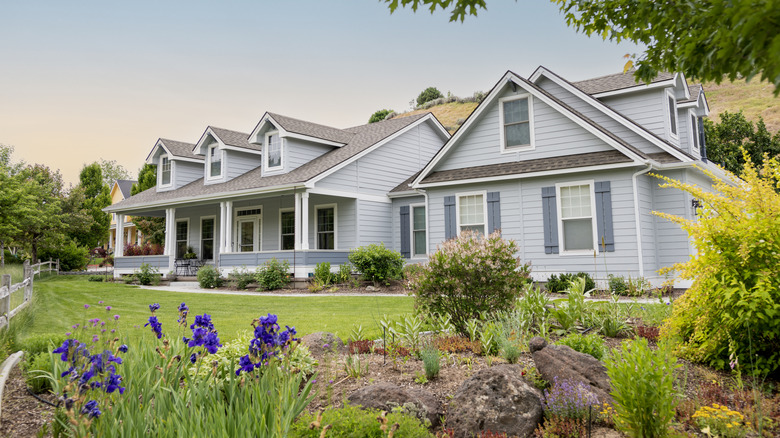 A garden with purple flowers grows out in front of a suburban home.