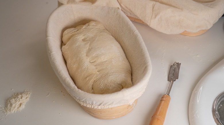 Dough in oval banneton basket