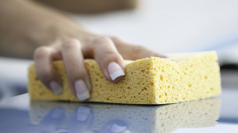 Hand using sponge