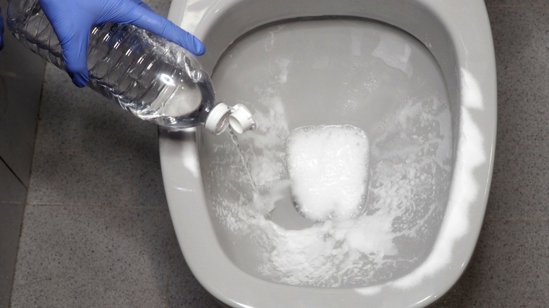 gloved hand cleaning toilet