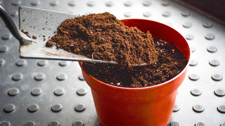 Trowel scooping soil into flower pot
