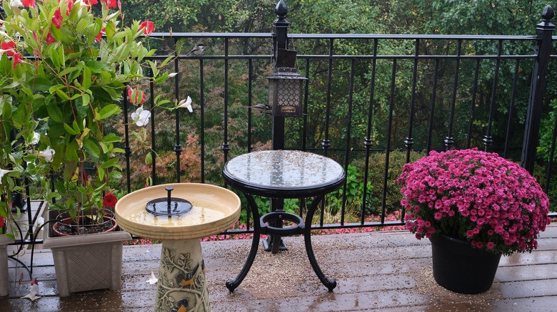 Potted mum and other plants sitting on a rainy balcony