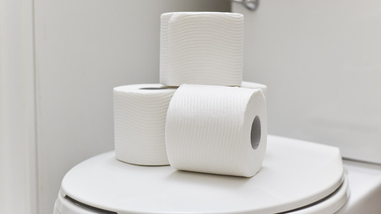 Toilet paper rolls stacked on toilet