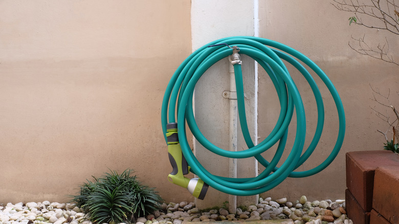 garden hose hung on faucet