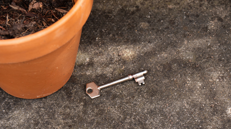 Key by potted plant