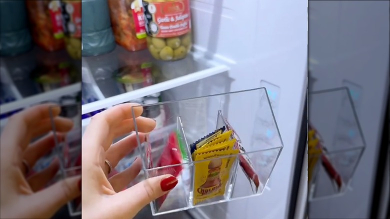 Refrigerator door storage