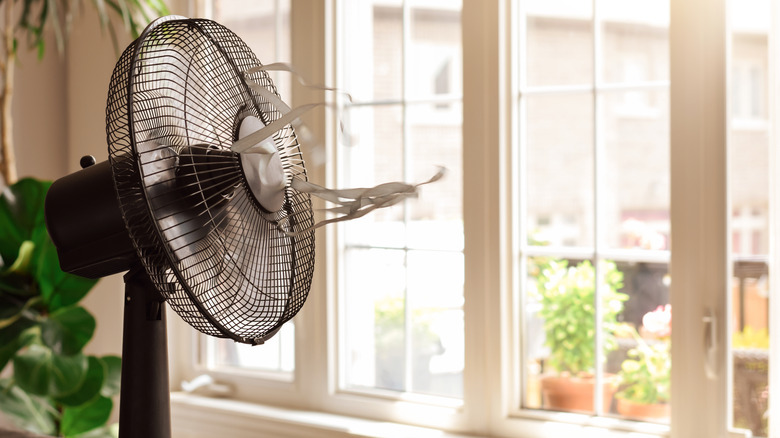 Electric fan blowing against the window