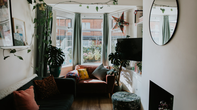 A small crowded apartment with bay window and plants