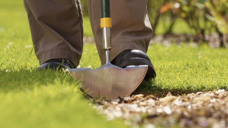 Person using a half-moon lawn edger tool