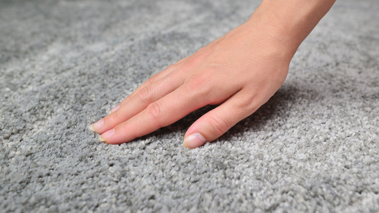 Soft and fresh carpet