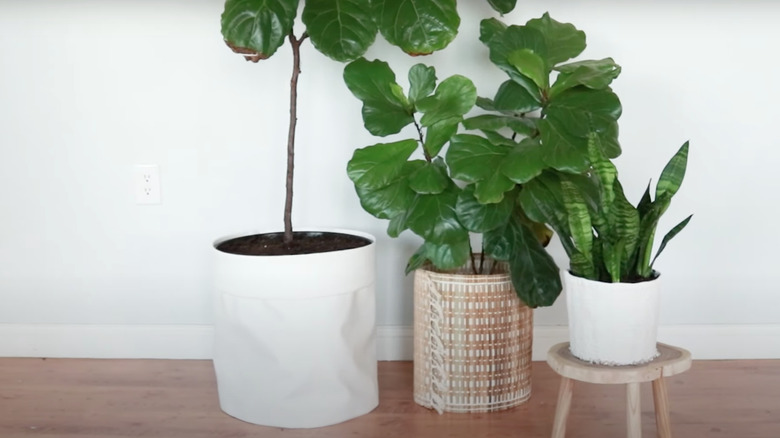 Homemade plant pot covers