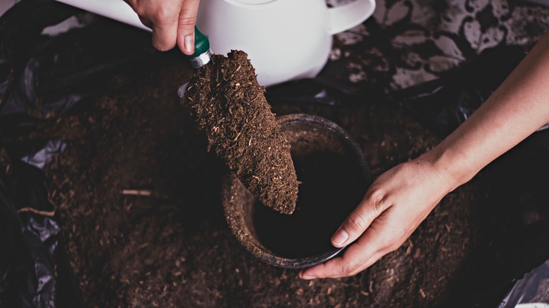 Scooping soil