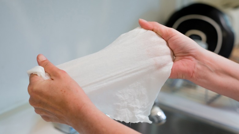 Close up of person holding a damp cloth over a skink
