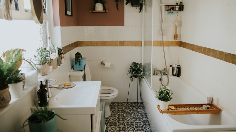 A home bathroom is filled with various potted plants along windowsills, the back of the toilet, and more.