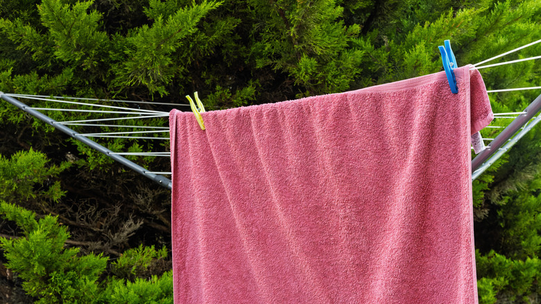 towel hanging up in garden