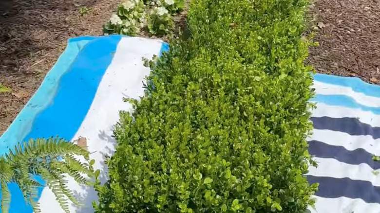 towels next to long hedge