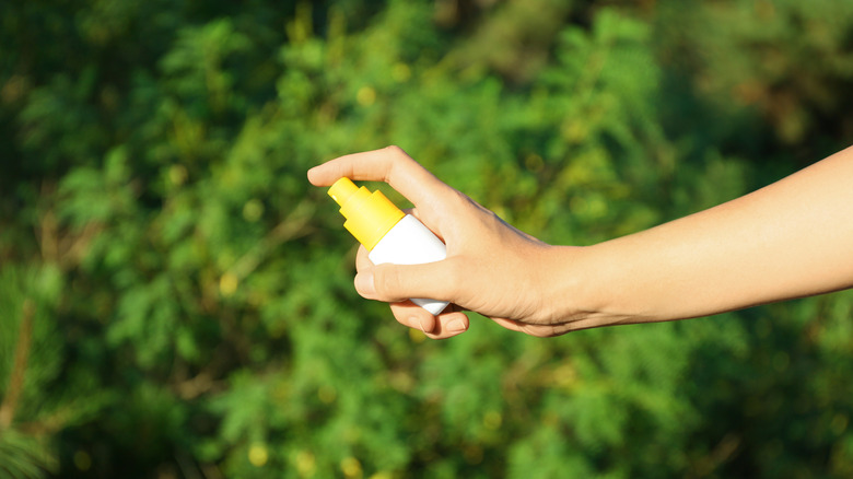 Person spraying repellent into the air