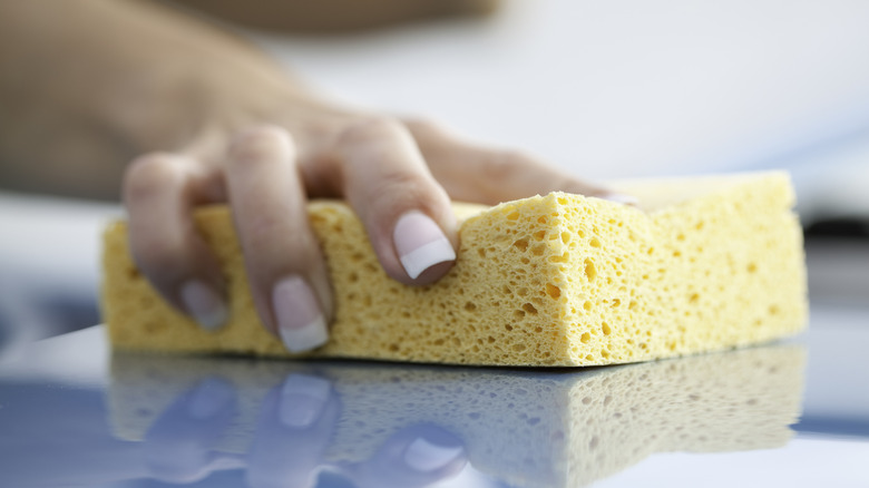 Someone using a sponge on a countertop