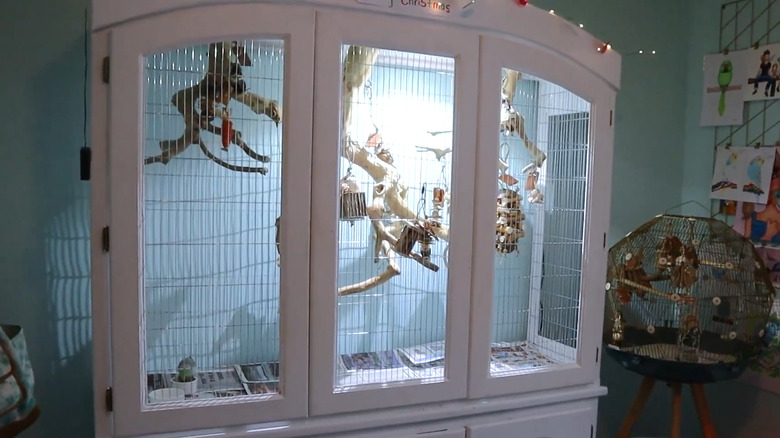 an old kitchen hutch repurposed as a bird cage