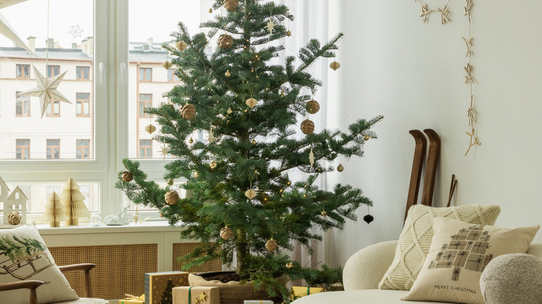 A Christmas tree with many gaps in between the branches