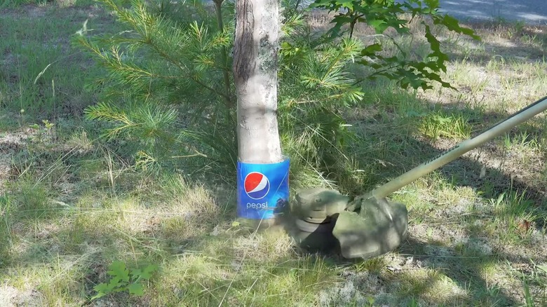 String trimmer hitting tree protected by a plastic bottle
