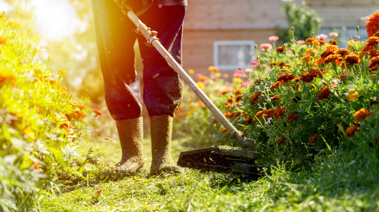 person using string trimmer near flowers