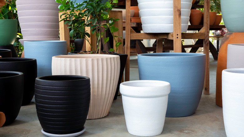 Woman tending to plants in oversized pot