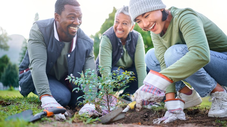 people smiling while gardening 