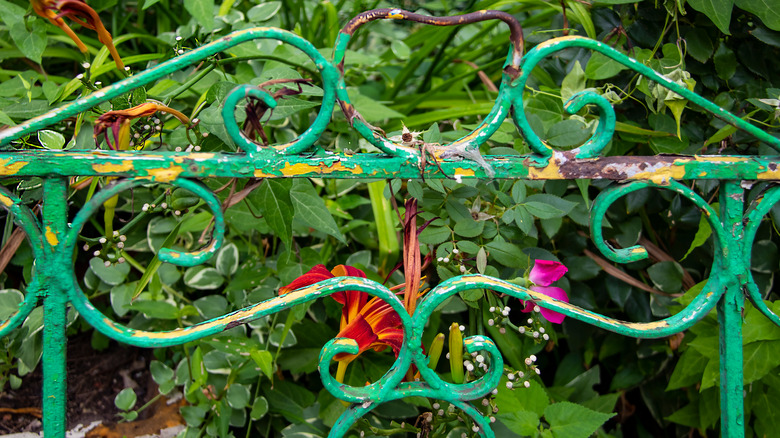 Headboard in garden