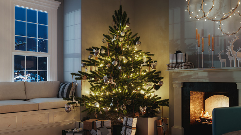 a Christmas tree lit up